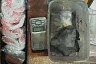 Саратовец прятал наркотики под детским автокреслом